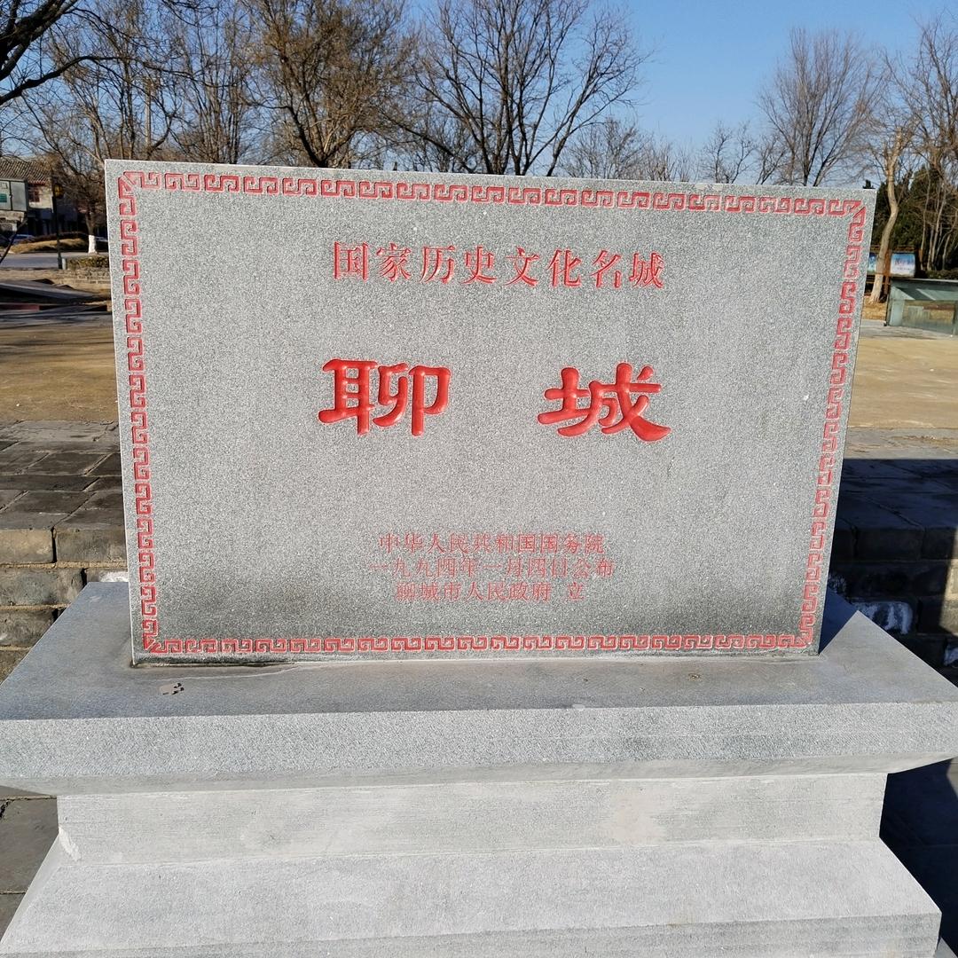 飞龙
