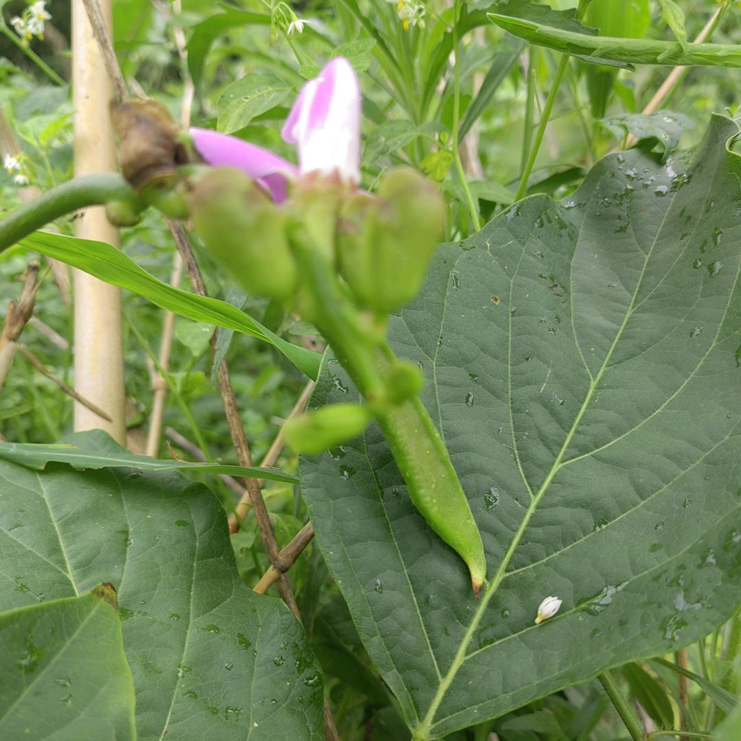 是是非非随他去
