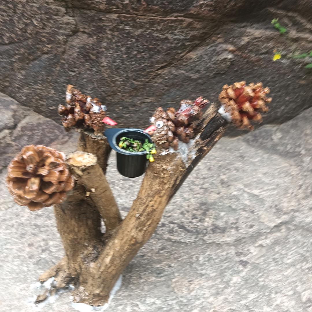阳光