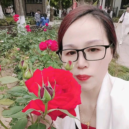 上海，英姐，7套房，小号