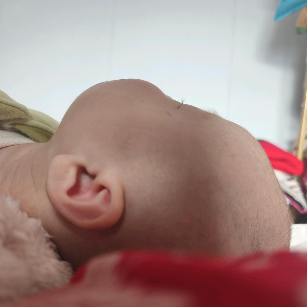 人类幼崽饲养员