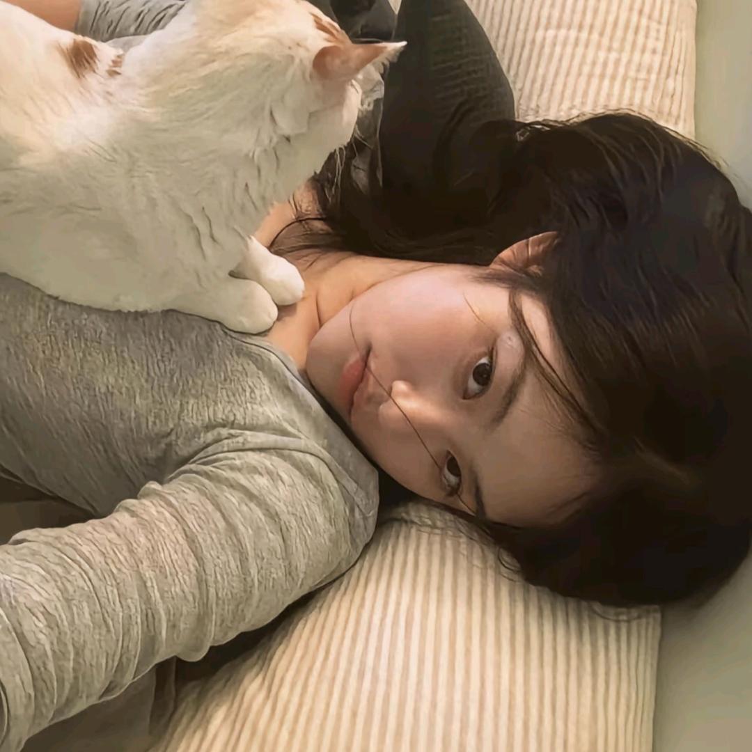小蝶🦋