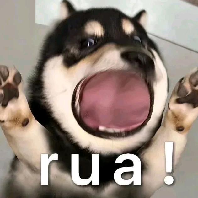 吉祥如意小太阳🥥