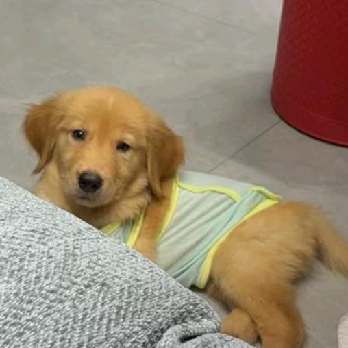 消消乐🧸