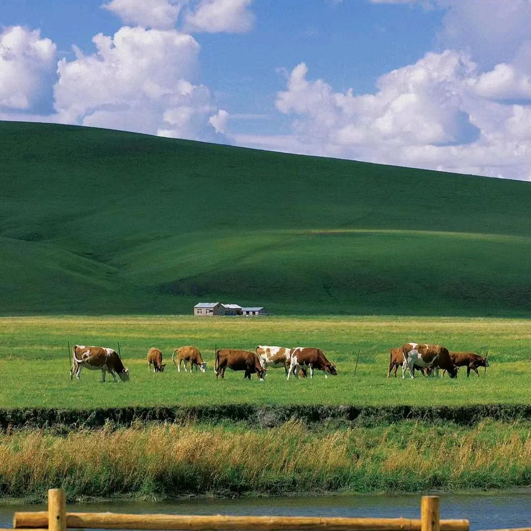 鲜纯草原特产店