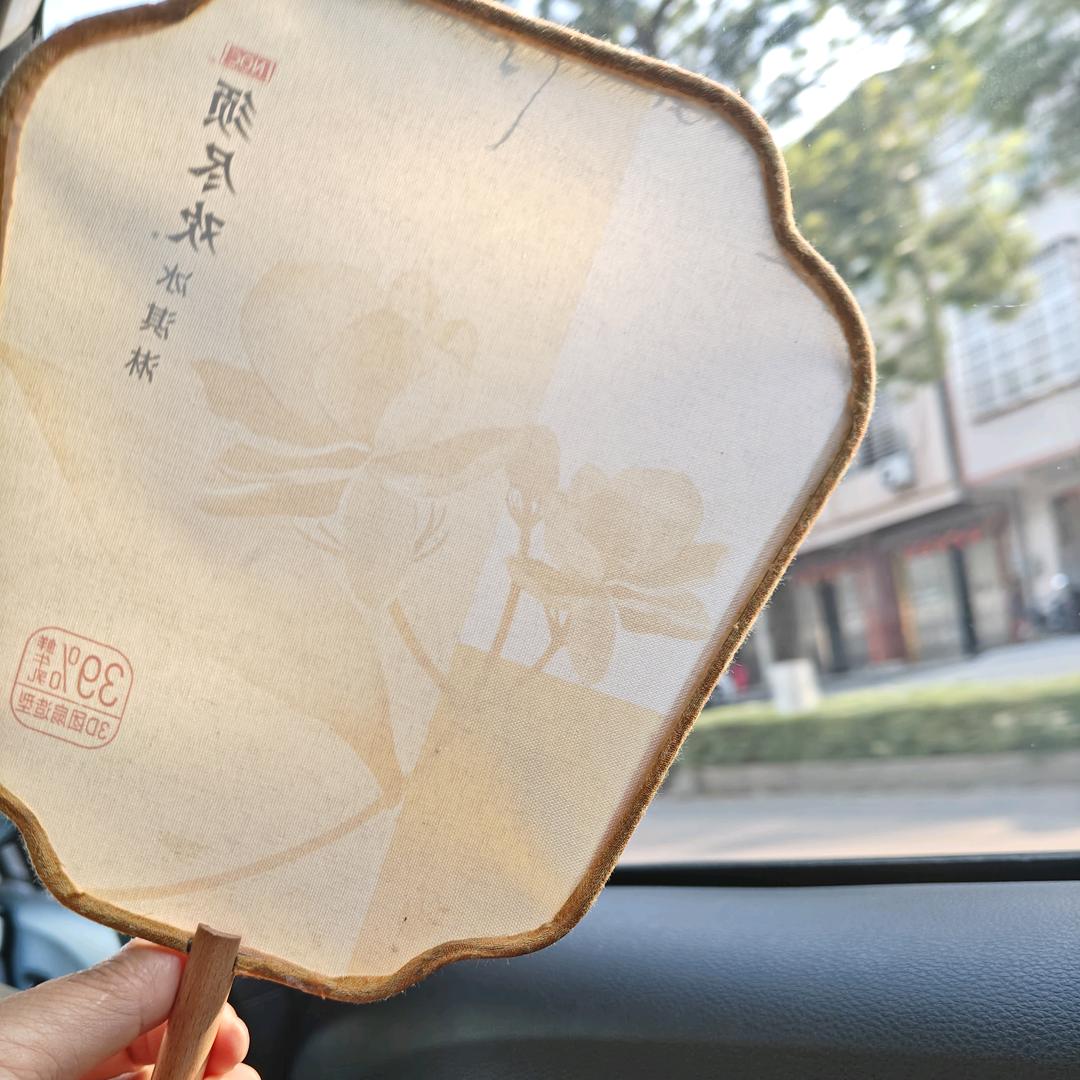 风听过我的故事