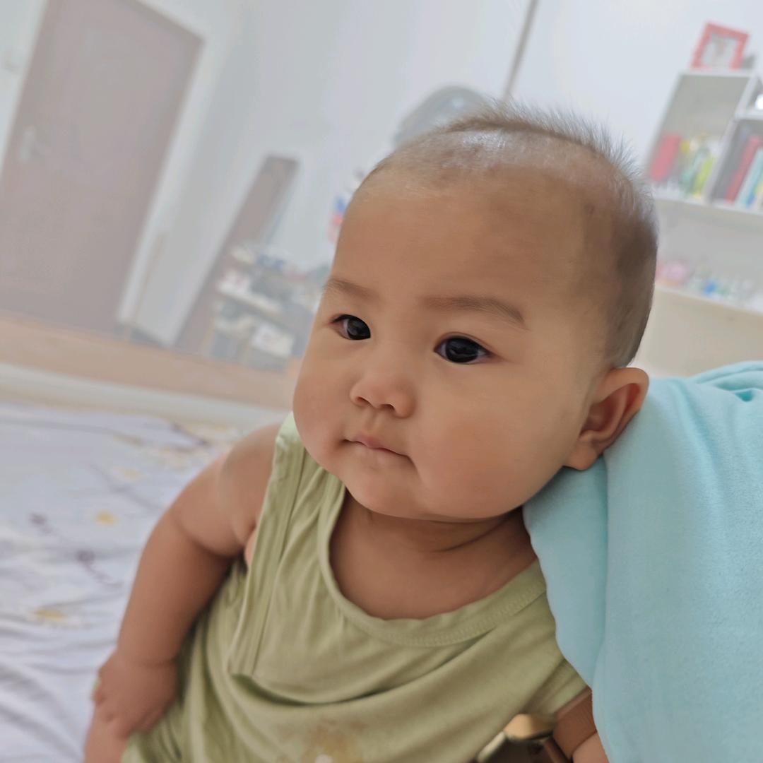挣钱养崽子