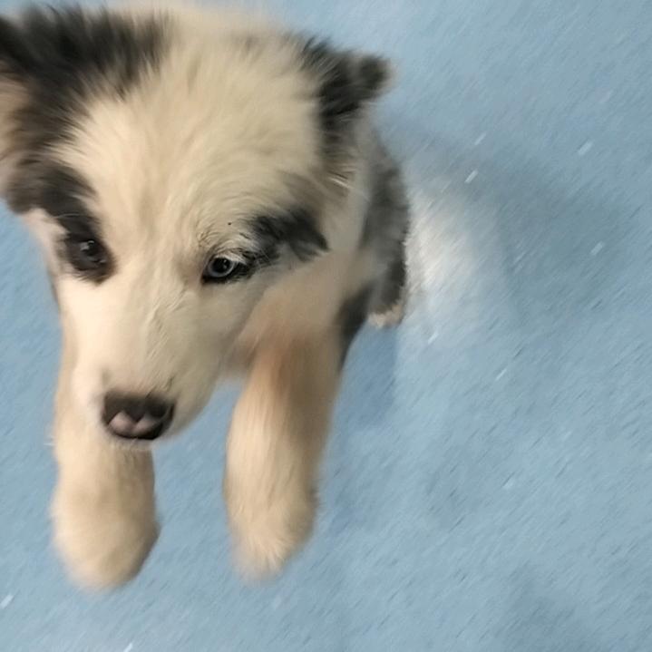 毒舌谁爱