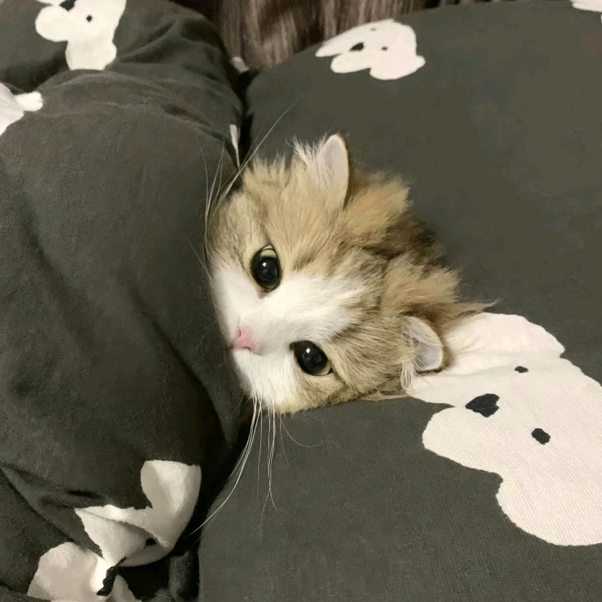 金角大王cosplay白丝女仆勾引牛魔王