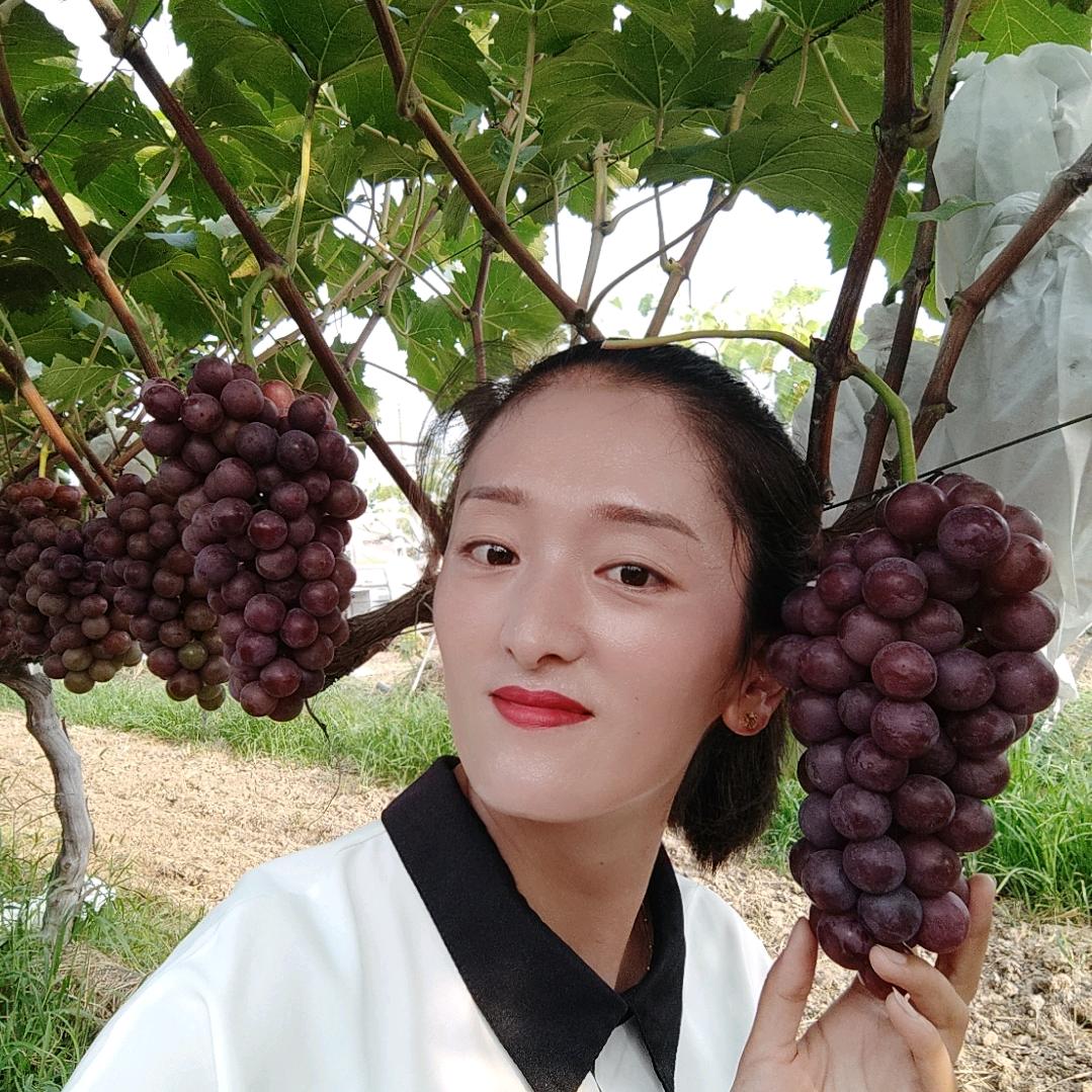 佩佩《曹堂牛家葡萄园》