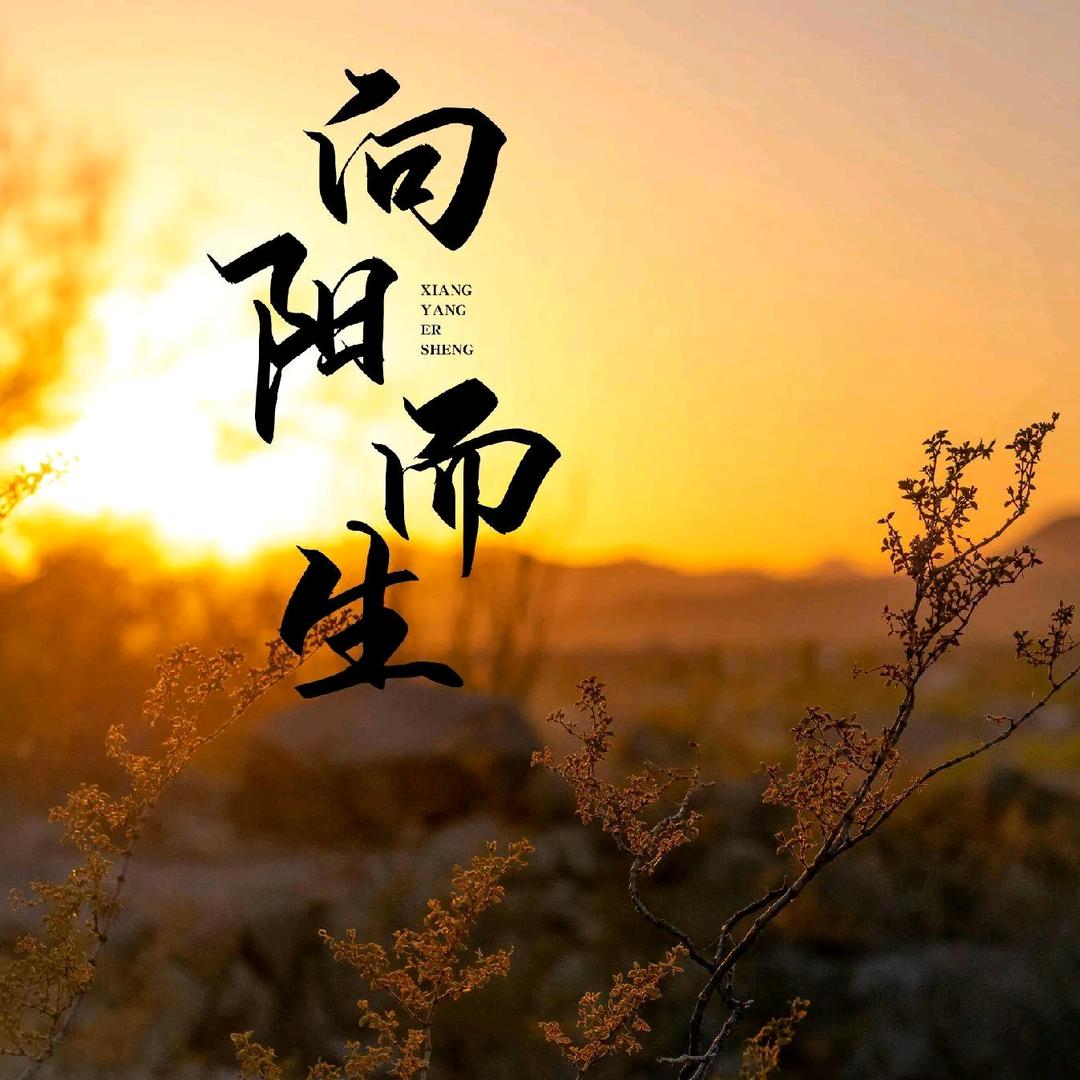 阳光（互冲星）