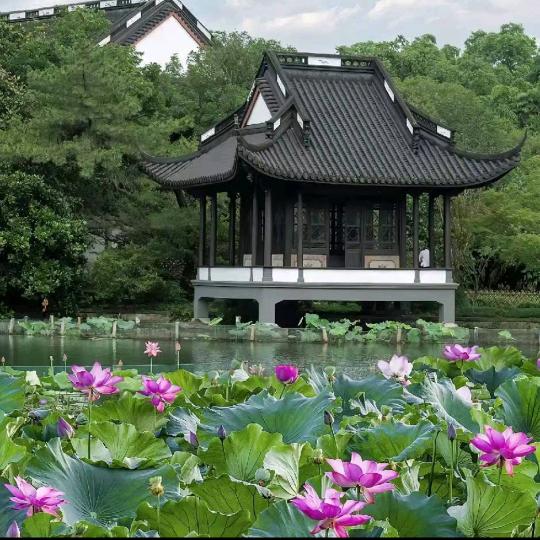 诚实做人