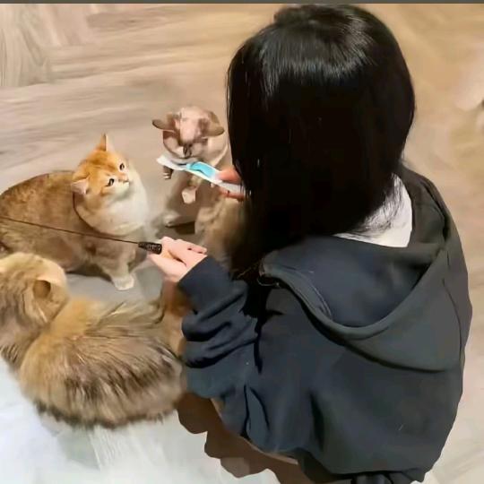 序苑💍（10.26）