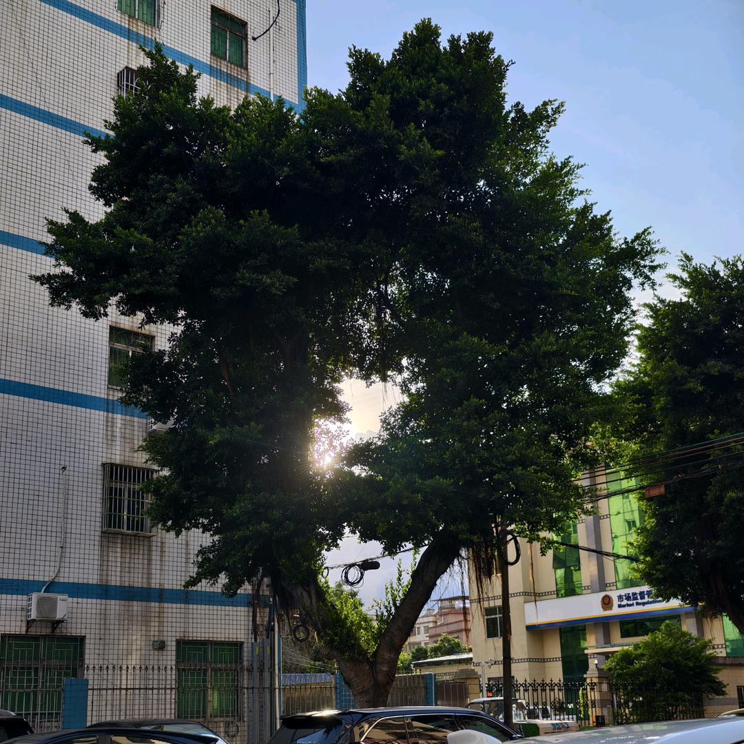 我不听