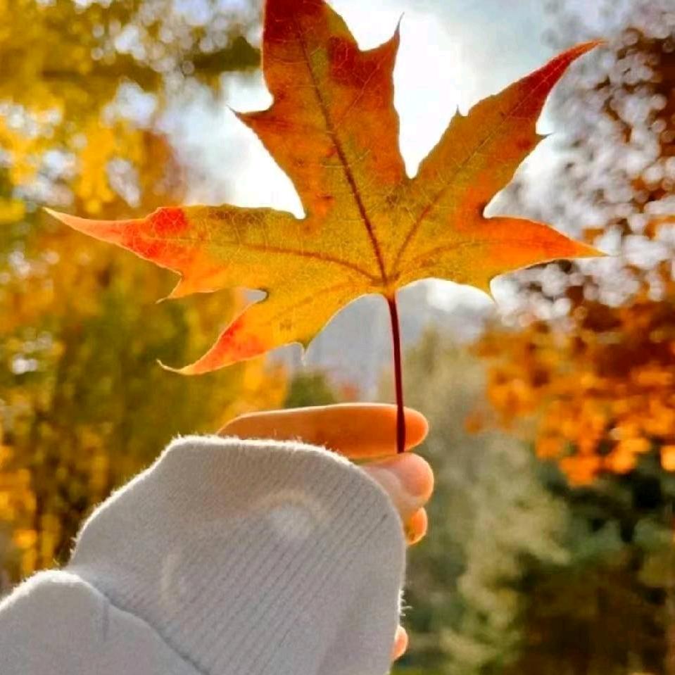 ღ᭄好運ꫛ加滿💞: