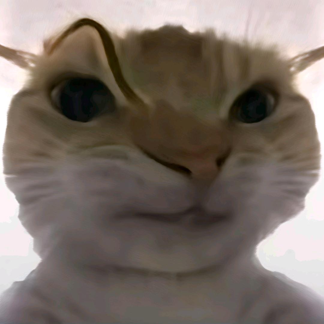 鼠鼠拯救世界