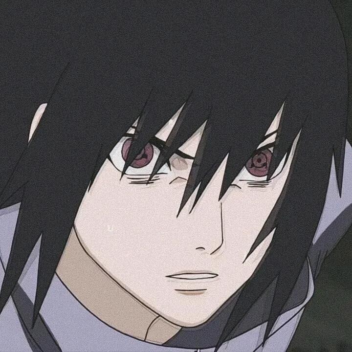 梨子的李