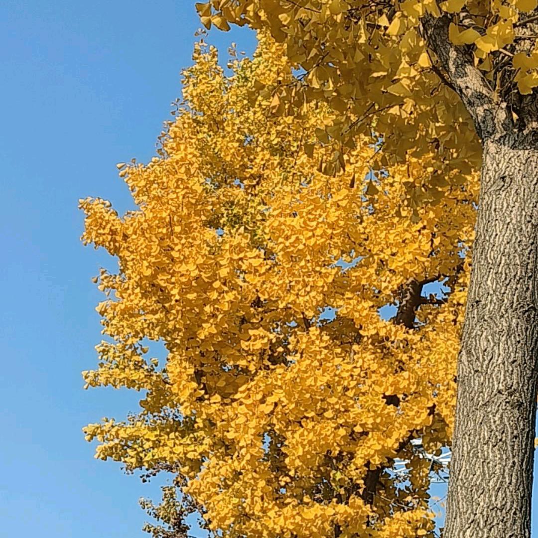 @瑞瑞（连赞拉黑）🤒