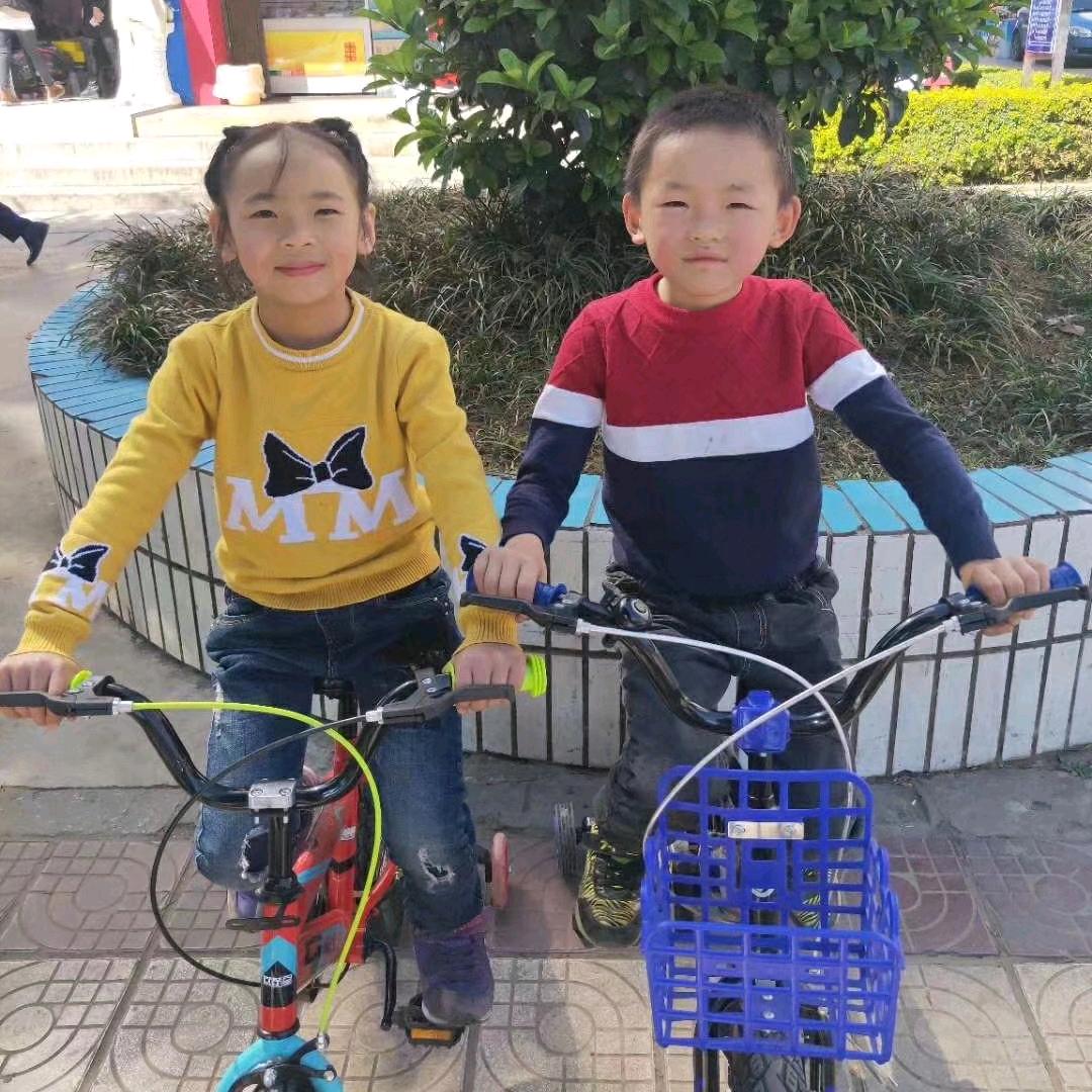 孤心无意