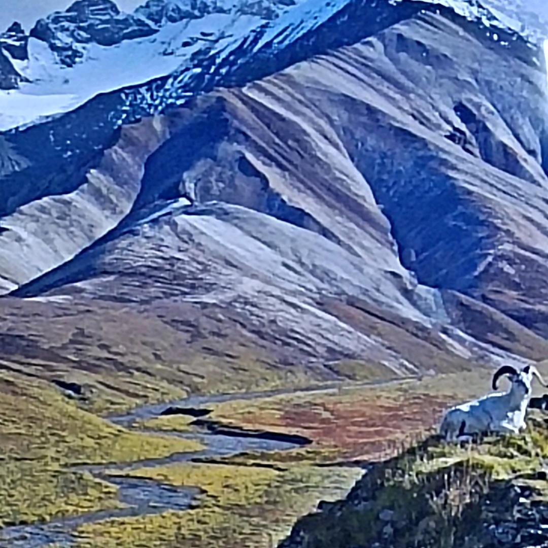 洪林哥🚩🇨🇳