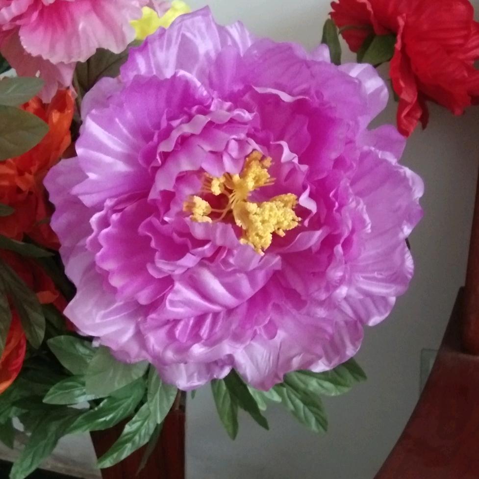 情系牡丹