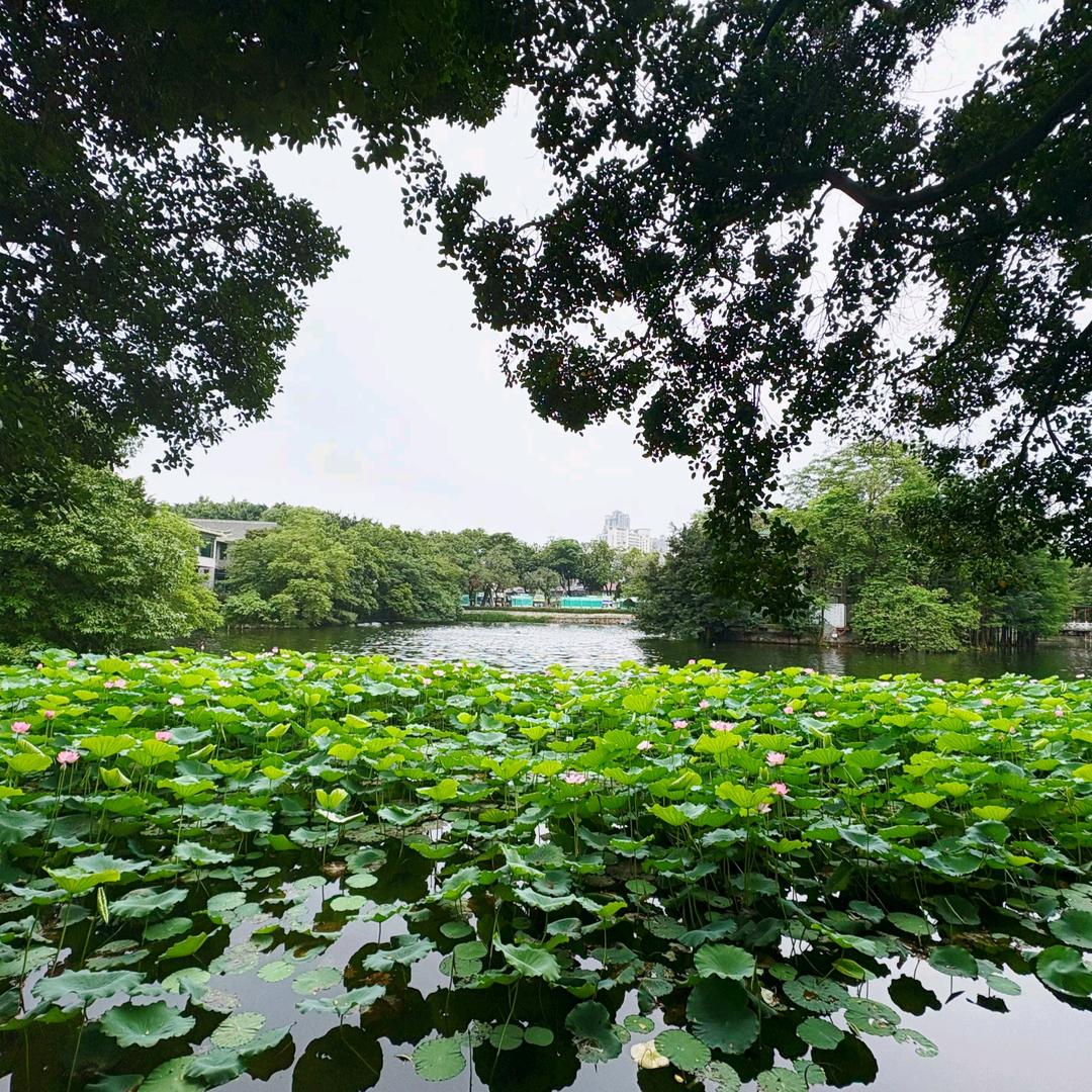 平凡可贵