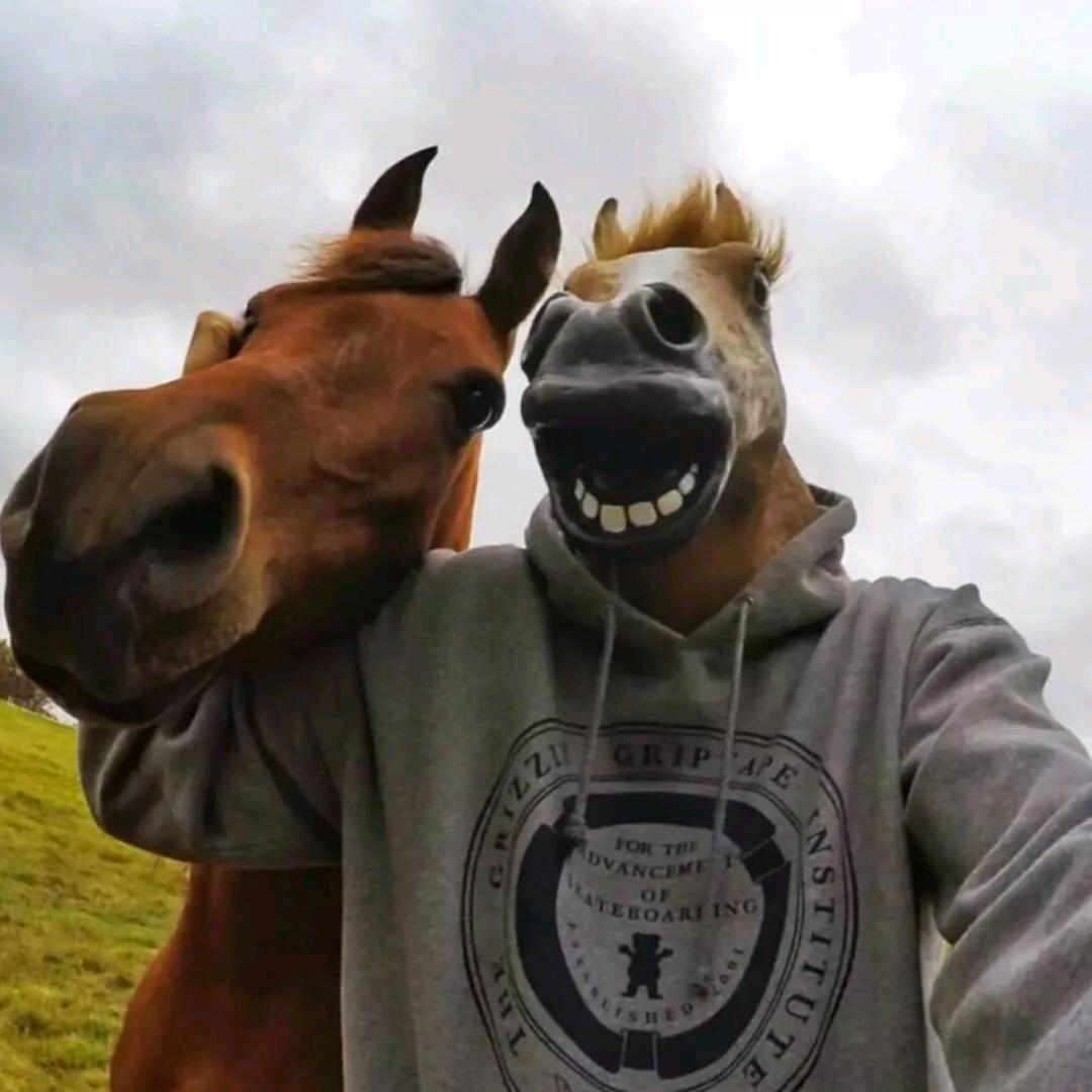 HY.