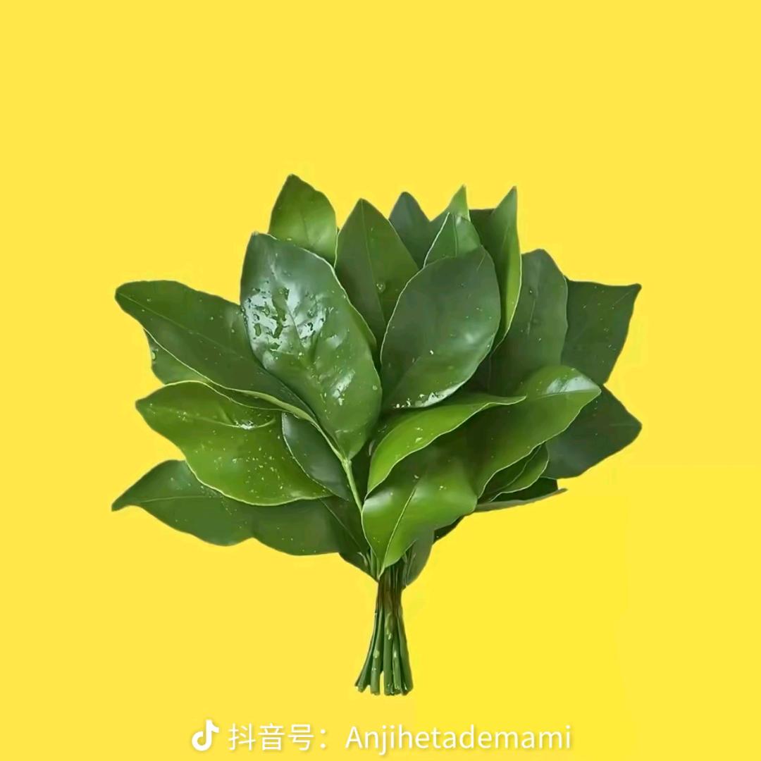 发呆呆的羊
