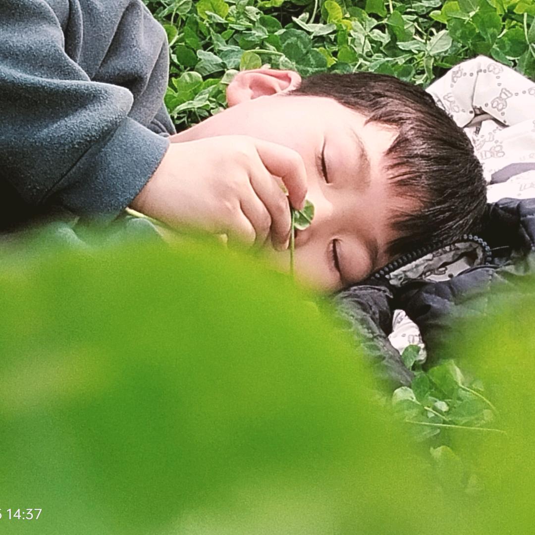 简简单单