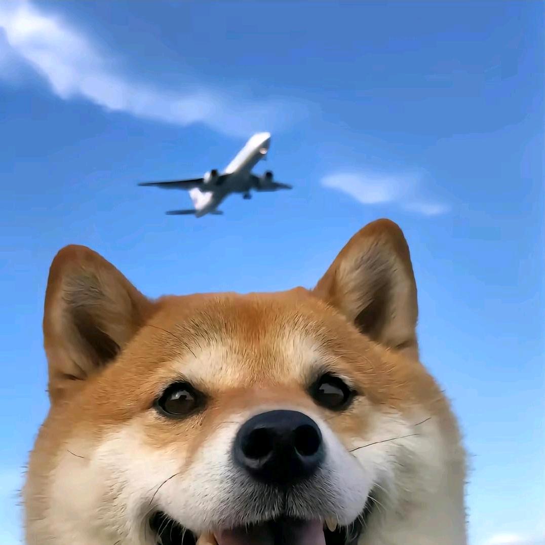 ฅ˙Ⱉ˙ฅ