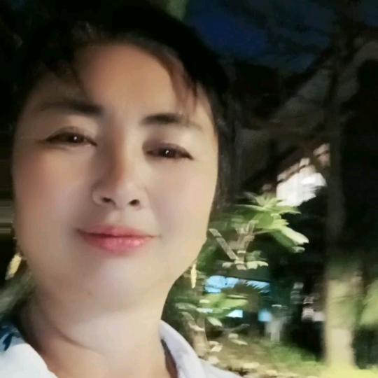西双版纳勐海与茶相伴