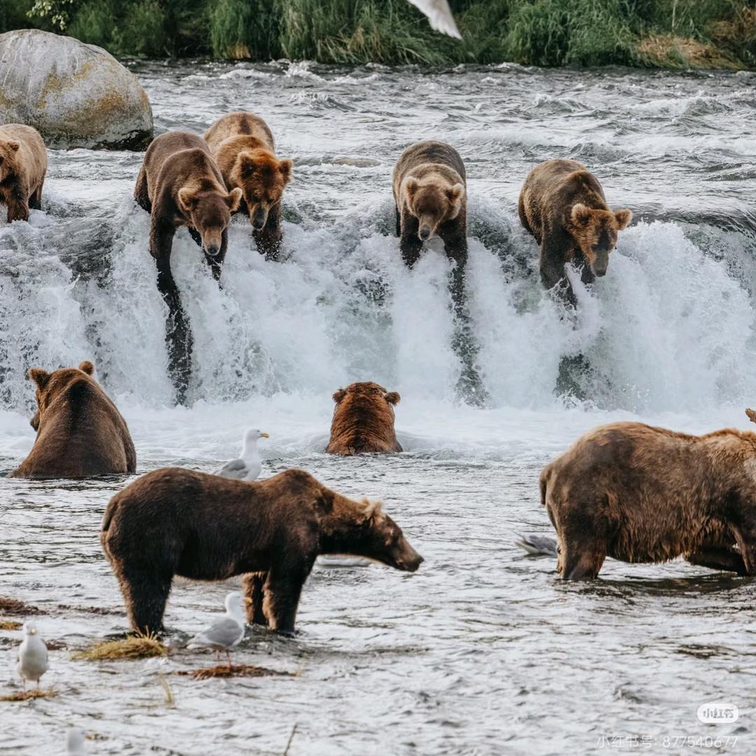 雄鹰一样的男人