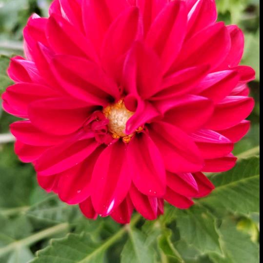 花花快乐每一天