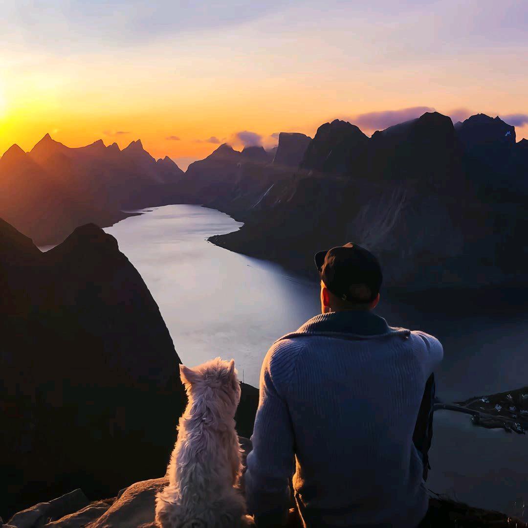 青山。