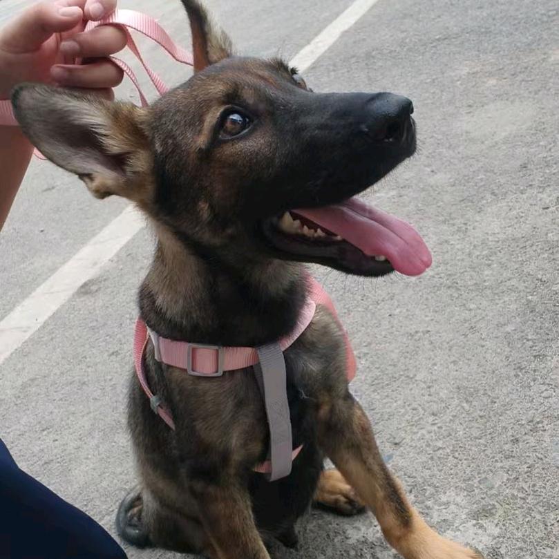 小张同学🇨🇳