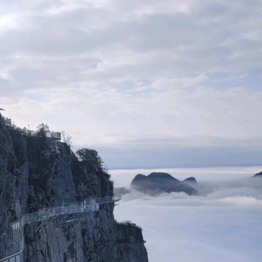 醒子