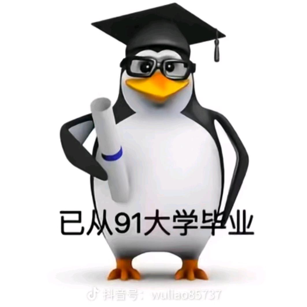 七宫yyds