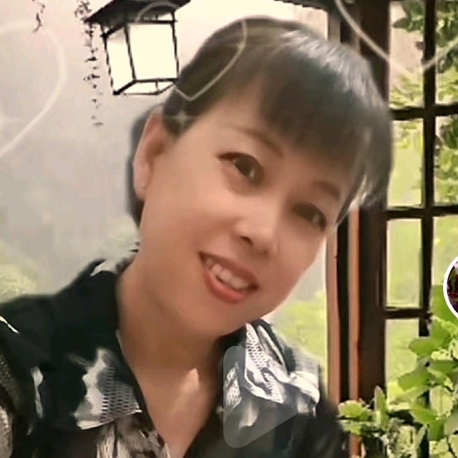 h梅莺（梅姐）