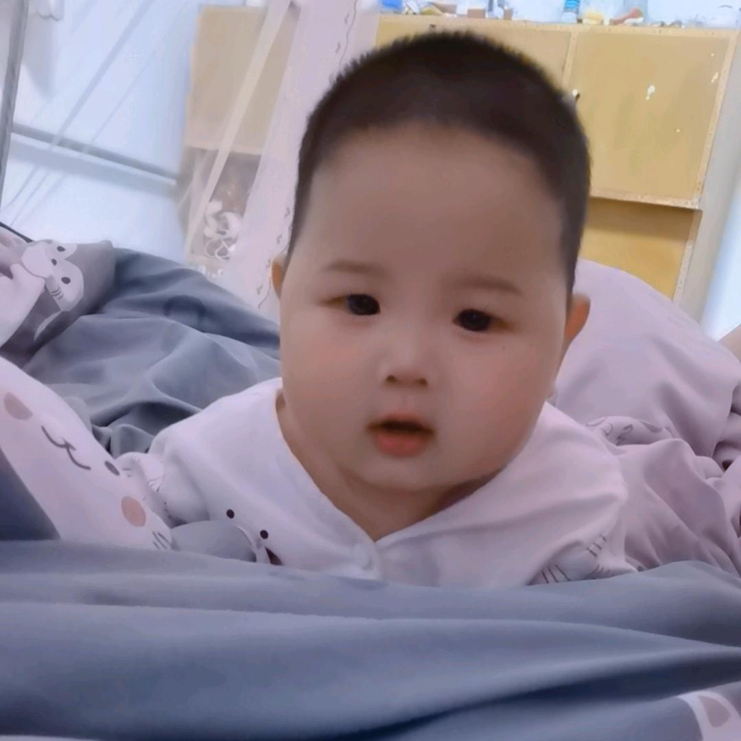 李梨李