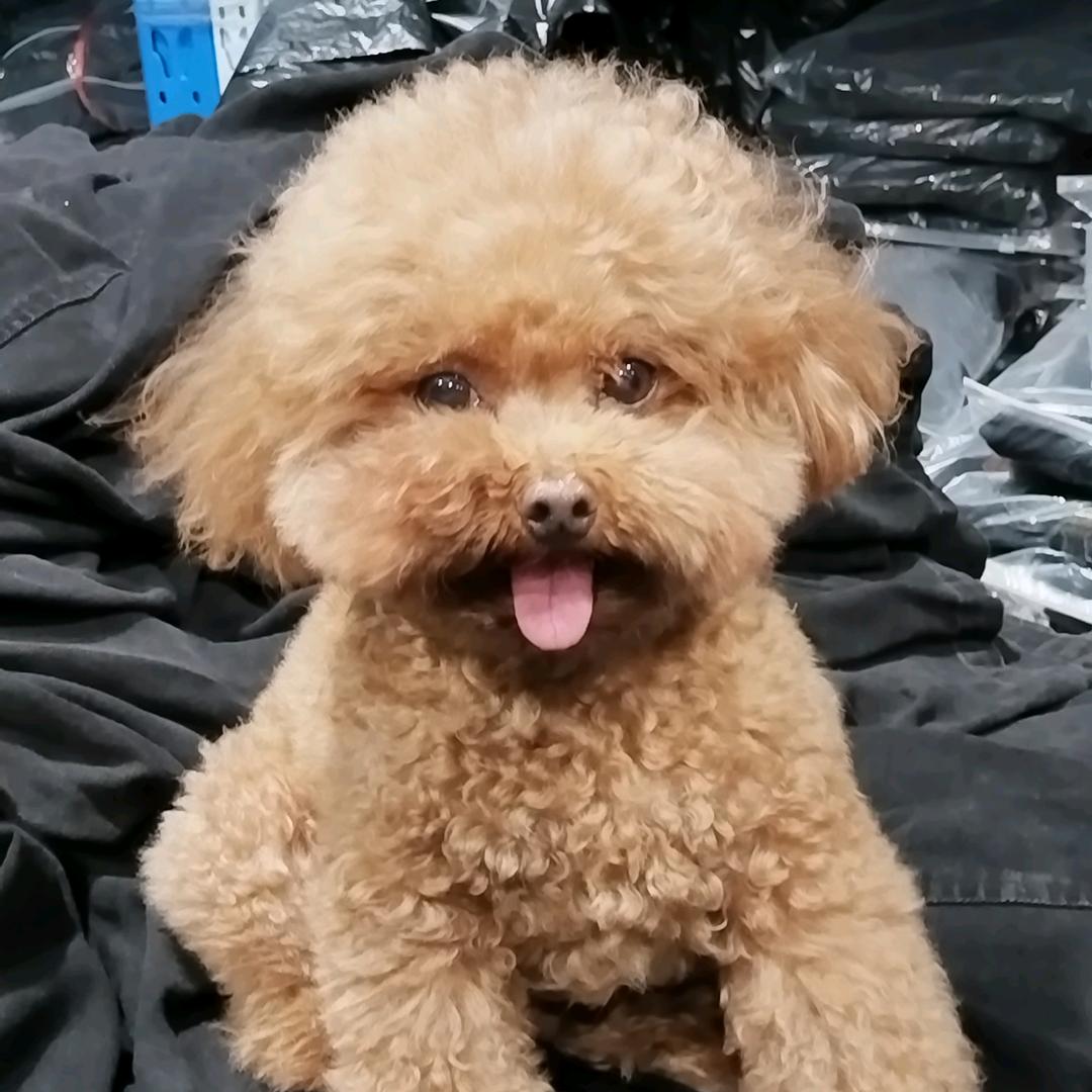 🐺怪咖👿