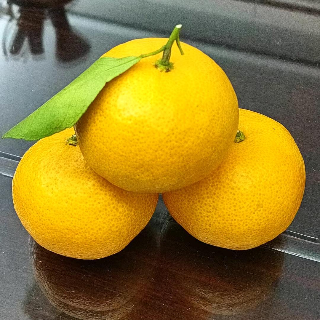 放下执念，回归本心