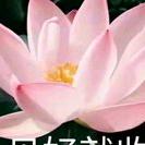 一切都好