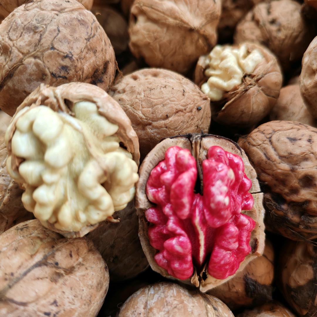 💪️🍎️磊哥核桃🍎️💪️