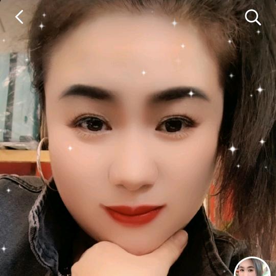 一年四季菊花开