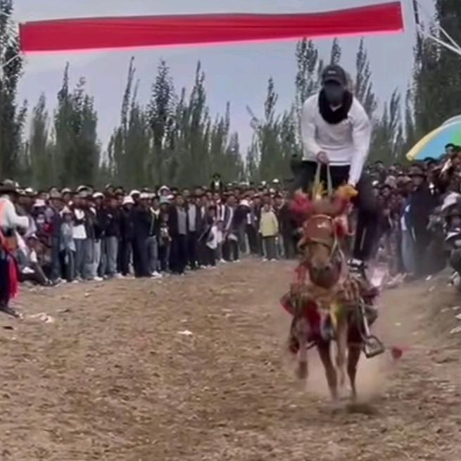 𒀱~ 巴桑𒀱~ པ་བཟ 𓃗🦋