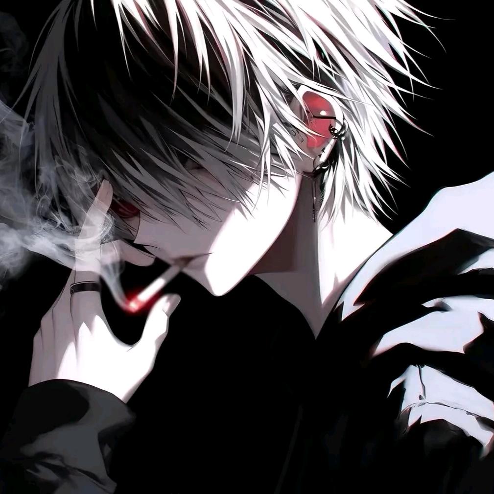 这里只有避风港