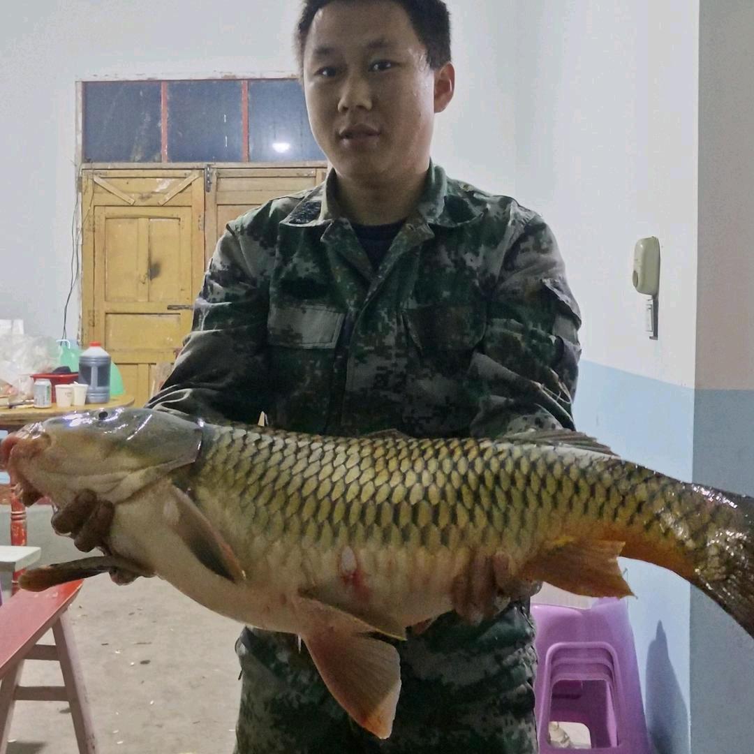 龙凤野钓爱做菜
