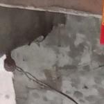 ‘∵