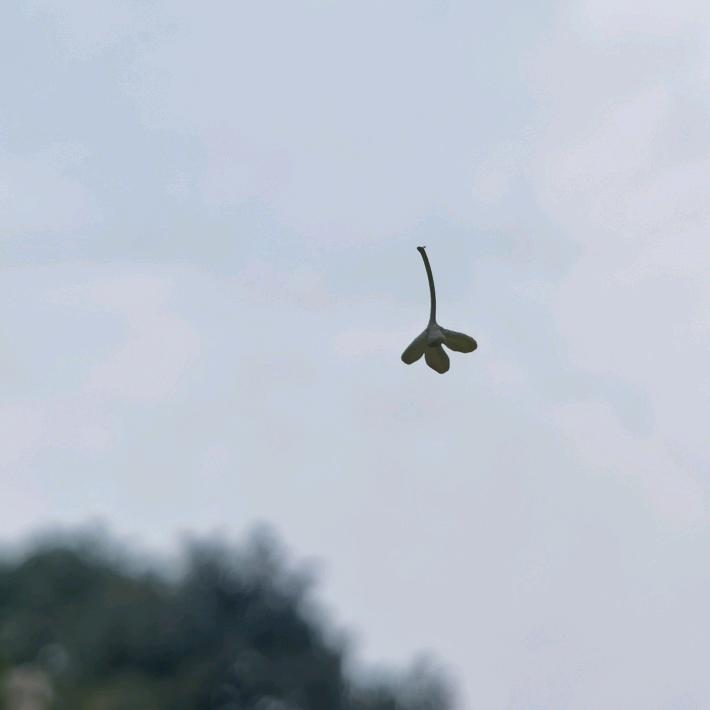 往返人群