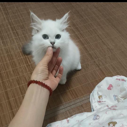 椰米∵
